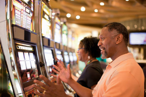 3dbet login Bingo Rooms Built For Indonesia